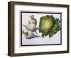 Turnip, Cabbage-Claude Aubriet-Framed Giclee Print