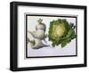 Turnip, Cabbage-Claude Aubriet-Framed Giclee Print