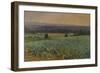 Turnip Field-William Cosens Way-Framed Giclee Print