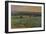 Turnip Field-William Cosens Way-Framed Giclee Print