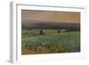 Turnip Field-William Cosens Way-Framed Giclee Print