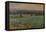 Turnip Field-William Cosens Way-Framed Stretched Canvas