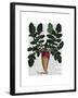 Turnip-Fab Funky-Framed Art Print