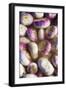 Turnips in Water-Foodcollection-Framed Photographic Print