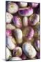 Turnips in Water-Foodcollection-Mounted Photographic Print