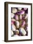 Turnips in Water-Foodcollection-Framed Photographic Print