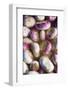 Turnips in Water-Foodcollection-Framed Photographic Print