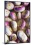 Turnips in Water-Foodcollection-Mounted Photographic Print