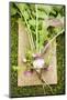 Turnips with Roots, Leaves and Soil-Foodcollection-Mounted Photographic Print