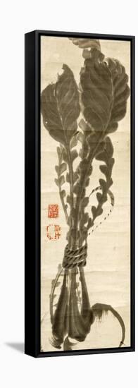 Turnips-Jakuchu Ito-Framed Stretched Canvas