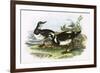 Turnstone-English-Framed Giclee Print