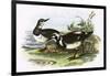 Turnstone-English-Framed Giclee Print