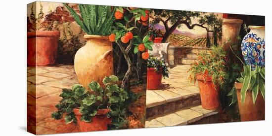 Turo Tuscan Orange-Art Fronckowiak-Stretched Canvas