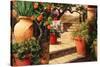 Turo Tuscan Orange-Art Fronckowiak-Stretched Canvas