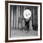 Turpentine Worker, 1937-Science Source-Framed Giclee Print