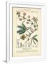 Gramercy White