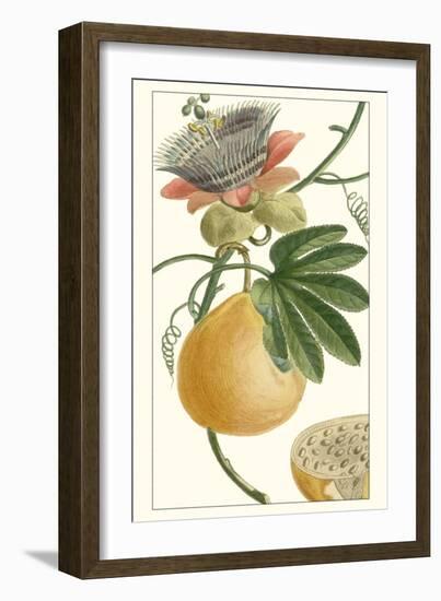 Turpin Exotic Botanical III-Turpin-Framed Art Print