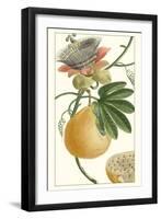 Turpin Exotic Botanical III-Turpin-Framed Art Print