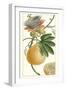 Turpin Exotic Botanical III-Turpin-Framed Art Print