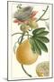 Turpin Exotic Botanical III-Turpin-Mounted Art Print