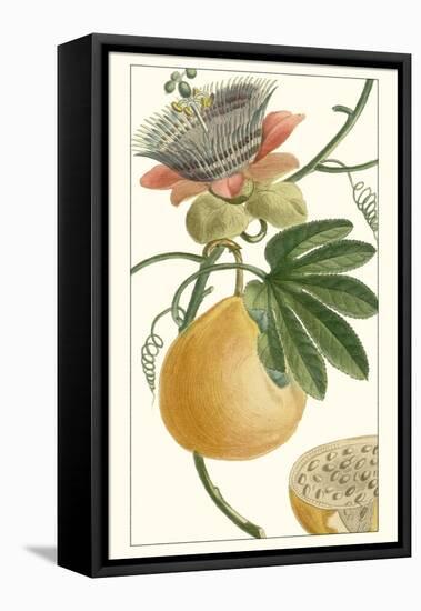 Turpin Exotic Botanical III-Turpin-Framed Stretched Canvas