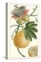 Turpin Exotic Botanical III-Turpin-Stretched Canvas