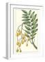 Turpin Exotic Botanical IX-Turpin-Framed Art Print