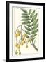 Turpin Exotic Botanical IX-Turpin-Framed Art Print