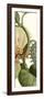 Turpin Exotic Botanical V-Turpin-Framed Premium Giclee Print