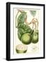 Turpin Exotic Botanical VI-Turpin-Framed Art Print