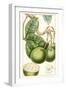 Turpin Exotic Botanical VI-Turpin-Framed Art Print