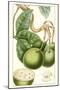 Turpin Exotic Botanical VI-Turpin-Mounted Art Print