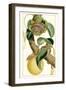 Turpin Exotic Botanical VII-Turpin-Framed Art Print
