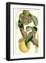 Turpin Exotic Botanical VII-Turpin-Framed Art Print