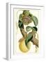 Turpin Exotic Botanical VII-Turpin-Framed Art Print