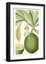 Turpin Exotic Botanical VIII-Turpin-Framed Art Print