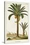 Turpin Exotic Palms IV-null-Stretched Canvas