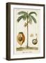 Turpin Exotic Palms V-null-Framed Art Print