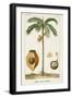 Turpin Exotic Palms V-null-Framed Art Print