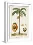 Turpin Exotic Palms V-null-Framed Art Print