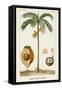 Turpin Exotic Palms V-null-Framed Stretched Canvas