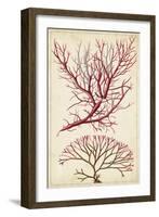 Turpin Seaweed V-Turpin-Framed Art Print