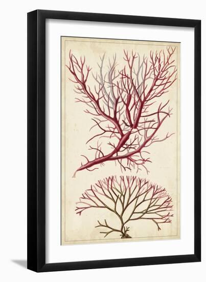 Turpin Seaweed V-Turpin-Framed Art Print