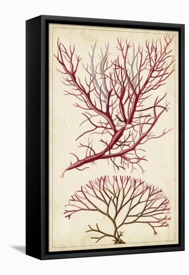 Turpin Seaweed V-Turpin-Framed Stretched Canvas