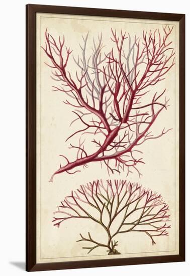 Turpin Seaweed V-Turpin-Framed Art Print