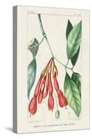 Turpin Tropical Botanicals I-Turpin-Stretched Canvas