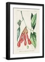 Turpin Tropical Botanicals I-Turpin-Framed Art Print