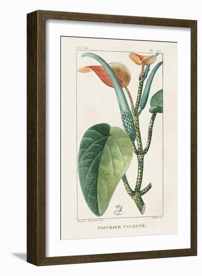 Turpin Tropical Botanicals II-Turpin-Framed Art Print