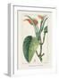 Turpin Tropical Botanicals II-Turpin-Framed Art Print