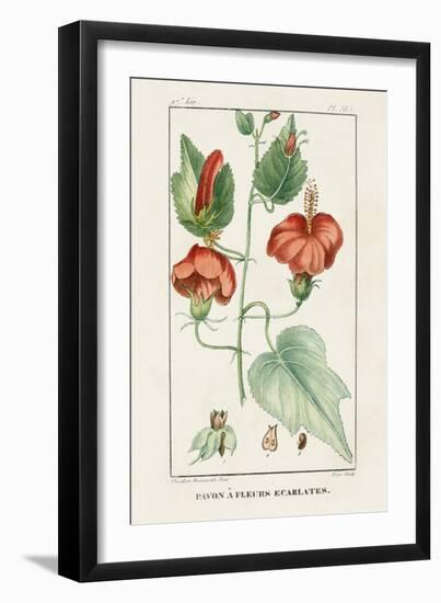 Turpin Tropical Botanicals IV-Turpin-Framed Art Print